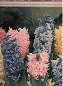 The Philadelphia Inquirer - 14. April 1946 - Bild 1 von 1