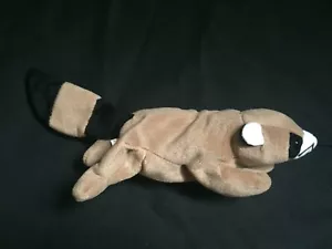 Ty Beanie Babies Ringo the Racco Style 4010 DOB 7-14-95 P.V.C. Pellets - Picture 1 of 11