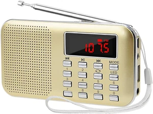 Mini Digital AM FM Radio Media Speaker MP3 Music Player Support TF Card/Usb Disk - Picture 1 of 12
