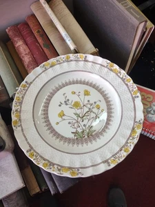Vintage Copeland Spode Buttercup Muster Speiseteller 10,25" England - Bild 1 von 5