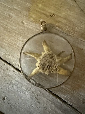 CIONDOLO STELLA ALPINA VINTAGE - Immagine 1 di 2