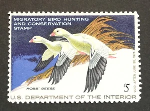 RW44 Federal Duck Hunting Stamps MNH, OG, 1977 Migratory Bird Hunting Stamp - Picture 1 of 2