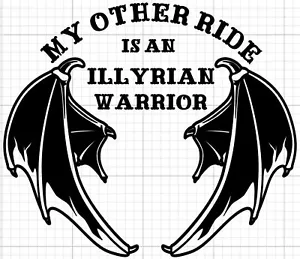 Black Vinyl Decal "My Other Ride Is An Illyrian Warrior" ACOTAR Booktok - Picture 1 of 2