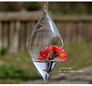 10pcs Teardrop Glass Terrarium Hanging Vase Wall Mounted Flower Vase Home Garden - Picture 1 of 7