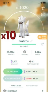 10x Furfrou Pokemon Bundle !! Good Chance of Lucky and Good IVs !! Go - Bild 1 von 1