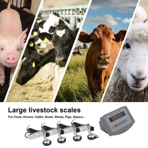 Kit scala bestiame 4 tonnellate per bovini maiali capre maiali spremere scivoli scala pallet - Foto 1 di 17