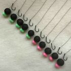 10 X HAIR RIGS LOADED WITH 15mm SPICY SQUID BOILIES DYNAMITE BAITS FLYNSCOTSMAN