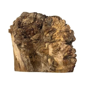 Paela/Chakte Viga Burl Cap/Bowl 10" x 10" x 4" | 8 lbs #803 - Picture 1 of 3