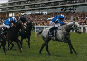 Horse Racing - Robert Winston - Signed A4 Photograph - COA - Picture 1 of 1