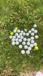 Prov1 40 Pack - Picture 1 of 1