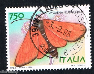 ITALIA 1 FRANCOBOLLO ANIMALI FARFALLE ZYGAENA RUBICUNDUS 1996 timbrato - Foto 1 di 1