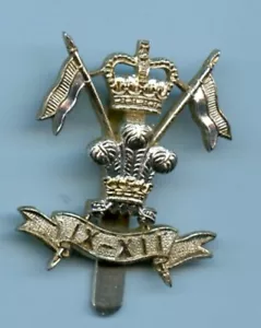 The 9th/ 12th Lancers Anodised Cap Badge - Foto 1 di 2
