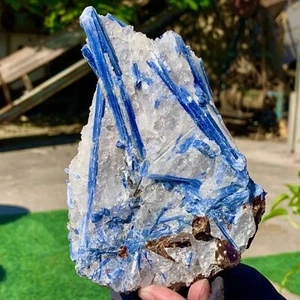 1.48LB Rare!! Natural beautiful Blue KYANITE with Quartz Crystal Specimen Rough - Picture 1 of 19