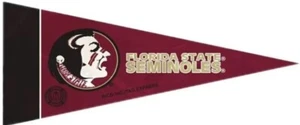 Florida State Seminolen Mini Wimpel, 4" x 9" - lizenziert von Rico - Made in - Bild 1 von 1