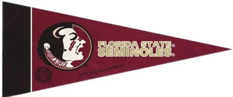 Florida State Seminoles Mini Pennants, 4" x 9" - Licensed by Rico - Made In Cover