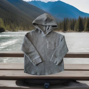 Sudadera con Capucha Cat & Jack 2 T Tejido Gofre Gris Mangas Largas Bolsillo Exterior Otoño Senderismo - Imagen 1 de 9