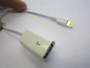 Lightning OTG Cable for New Apple Connection Devices to Create A USB Port - Picture 1 of 1