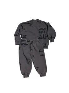 Conjunto Sudadera Gris Estampado Perro Zara Niño Pequeño Talla 2T 2-3 Y - Imagen 1 de 5