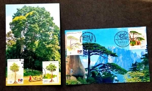 [SJ] China Malaysia Joint Issue 50th Diplomatic 2024 Tree (maxicard) *dual PMK - Picture 1 of 8