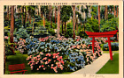 Vintage 1939 Oriental Gardens, boul. San Jose Carte postale Jacksonville Florida FL 