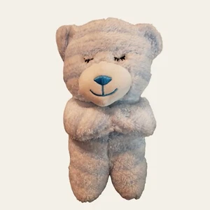 Homerbest Praying Bear Plush Blue Now I Lay Me Down To Sleep Works! Pray boy - Picture 1 of 5