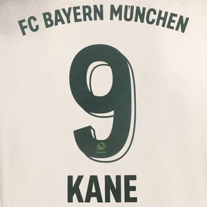 Official KANE #9 + FC Bayern Munchen Oktoberfest 2025-26 Print - Picture 1 of 6