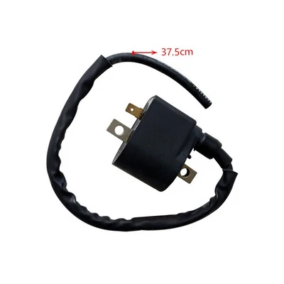 Bobina de encendido para Suzuki AX100 50-250CC ATV motor chino moto cross quad Foto 1 de 4