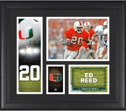 Ed Reed Miami Hurricanes Framed 15" x 17" Player Core Collage Cover