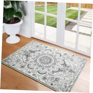 Washable Area Rug, 2x3 Entry Rug Non-Slip Indoor Door Mat, Small 2x3 Ft White - Picture 1 of 7