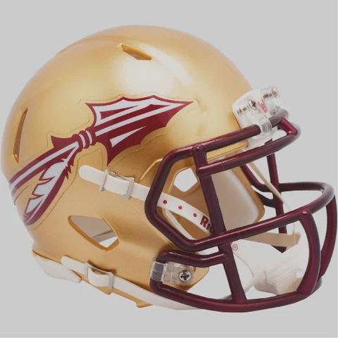 Florida State Seminoles Mini Speed Flash Helmet College Metallic Football Helmet Cover
