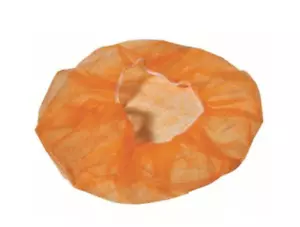 100 PIEZAS GORRA HINCHADA RED DE PELO NARANJA polipropileno - Imagen 1 de 1