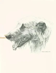 #141 IRISCHER WOLFHUND Porträt Hund Kunstdruck * Stift und Tinte Zeichnung von Jan Jellins - Bild 1 von 1