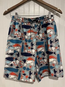 Boys Swimsuit Trunks LL BEAN size 14 Grey Fish Print - Picture 1 of 7
