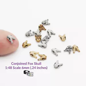 Conjoined Fox Skull - 1:48 Scale Miniature for dioramas, jewelry dice (5 skulls) - Picture 1 of 5