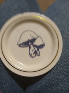 Small Collectors  Plate - Picture 1 of 1