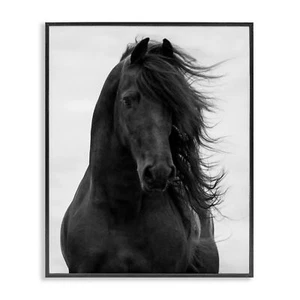 Stupell Industries Black Stallion Horse Portrait Soft Grey Sky Photography, D... - Picture 1 of 10