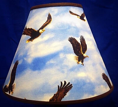 Pantalla Eagles Flying Sky hecha a mano Foto 1 de 2