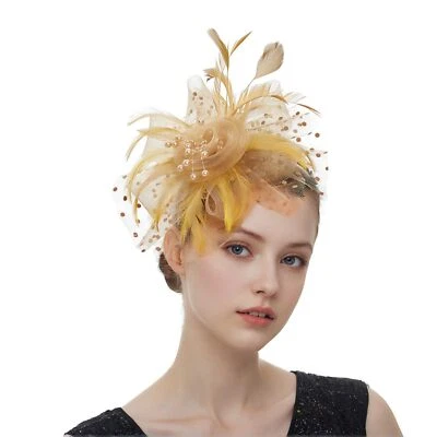 Gorra Litter Star Mujeres Fascinadores Elegante Malla Pluma Diadema con Clip Der... Foto 1 de 4