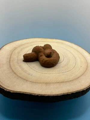 geocache finta cacca resistente contenitore impermeabile un po' grossolano ma divertente - Immagine 1 di 4