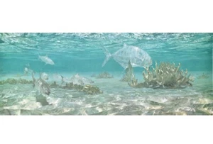 Stanley Meltzoff "Below On The Flats-Bone & Permit Fish" Lithograph Print 1973 - Picture 1 of 10