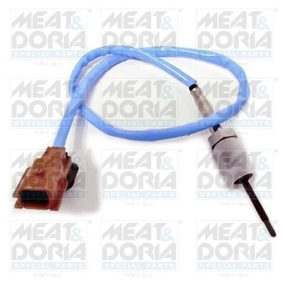 Sensore temperatura gas di scarico MEAT & DORIA per RENAULT MASTER II Furgonato FD 2.5 dCi JD - Immagine 1 di 1