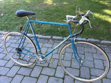 1989 schwinn traveler