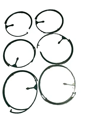 Anillos de soporte de arbusto expandibles directos Hampton, juego de 6 Foto 1 de 4