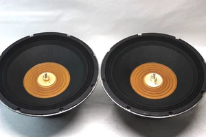 Vintage Cerwin Vega 189-SC Stroker  18" Subwoofer Pair - Picture 1 of 4