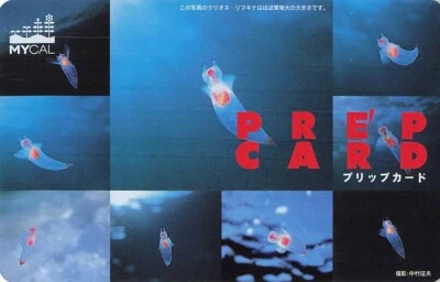 Clione Mycal (Supermarket merged with Aeon ) gift card Used balance 0 Japan 1998 - Image 1 of 2