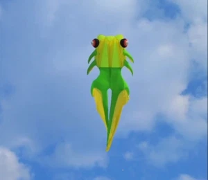 2025 new 33Sqm Large 3D Kites models Original Software kite Goldfish kite - Picture 1 of 4
