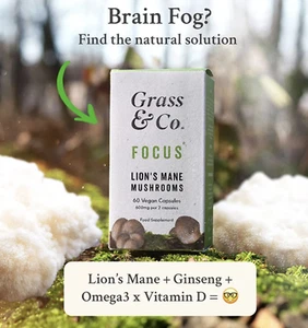 Grass & Co. FOCUS Lion's Mane Mushrooms with Ginseng + Omega-3 60 Vegan Capsules - Picture 1 of 4