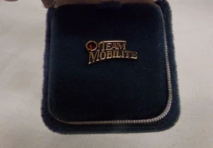 Team Mobilelite Terryberry 10K EMB Gold w/ Red Stone Employee Lapel Service Pin - Picture 1 of 4