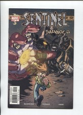 Sentinel #2 Salvage  2003