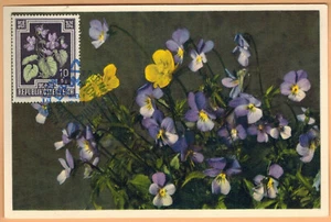 1948-Autriche(Osterreich)-Carte Maximum-Pensée de Champs-Plante-Gyger-Réf.C.52 - Imagen 1 de 2